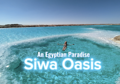 Taashera Travel & Tourism